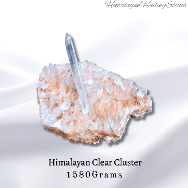 HCC-1580g