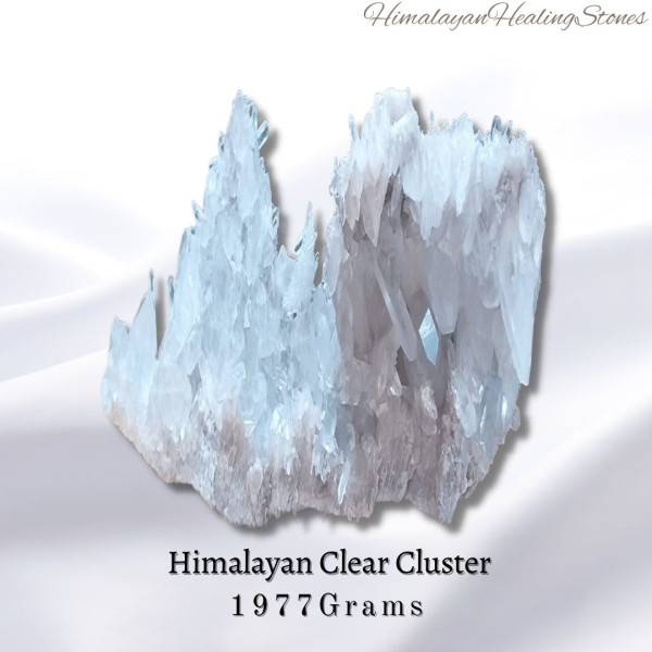 HCC-1977g