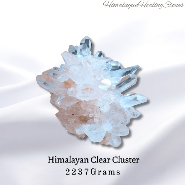 HCC-2237g