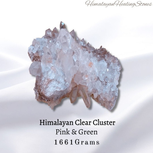 HCC-1661g
