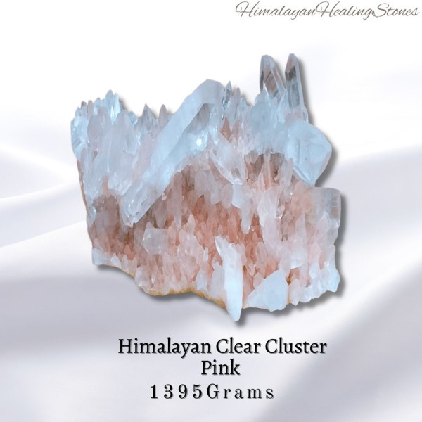 HCC-1395g